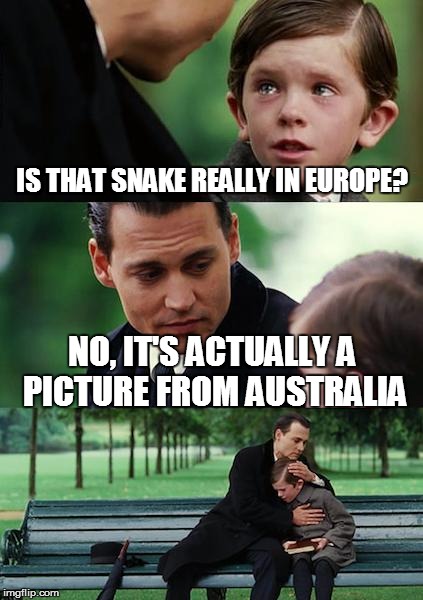 Finding Neverland Meme | IS THAT SNAKE REALLY IN EUROPE? NO, IT'S ACTUALLY A PICTURE FROM AUSTRALIA | image tagged in memes,finding neverland | made w/ Imgflip meme maker