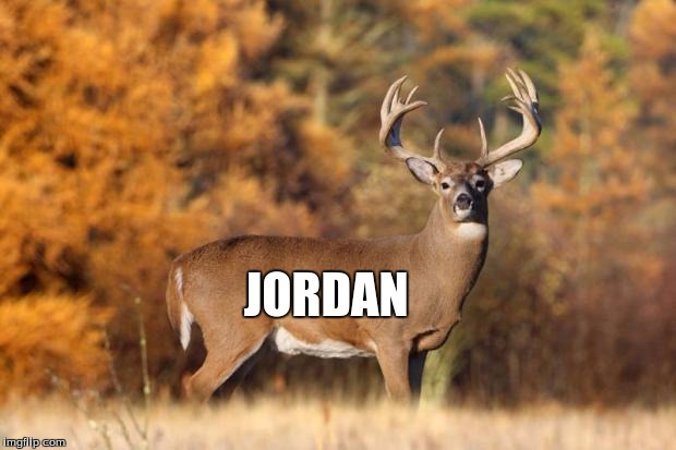 whitetail deer | JORDAN | image tagged in whitetail deer | made w/ Imgflip meme maker