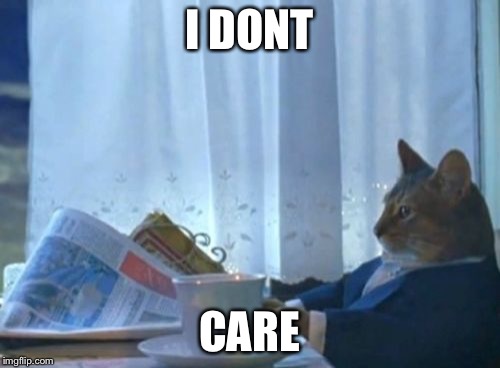 I Should Buy A Boat Cat | I DONT CARE | image tagged in memes,i should buy a boat cat | made w/ Imgflip meme maker