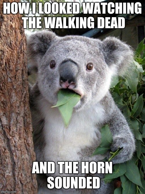 Surprised Koala | HOW I LOOKED WATCHING THE WALKING DEAD AND THE HORN SOUNDED | image tagged in memes,surprised coala | made w/ Imgflip meme maker