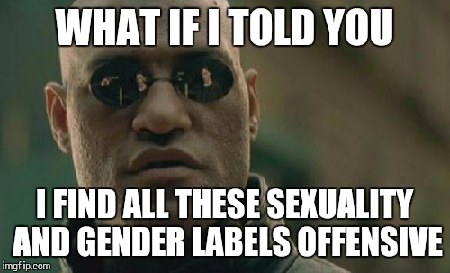 Matrix Morpheus | WHAT IF I TOLD YOU I FIND ALL THESE SEXUALITY AND GENDER LABELS OFFENSIVE | image tagged in memes,matrix morpheus | made w/ Imgflip meme maker