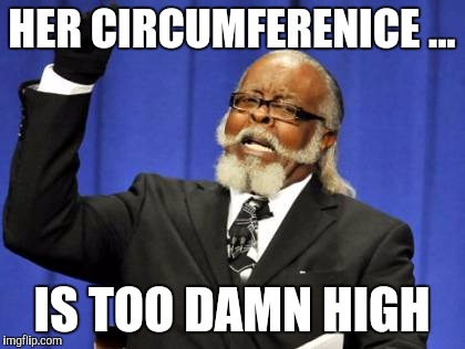 Too Damn High Meme | HER CIRCUMFERENICE ... IS TOO DAMN HIGH | image tagged in memes,too damn high | made w/ Imgflip meme maker