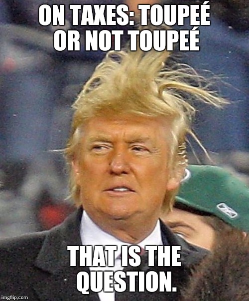 Donald Trumph hair | ON TAXES: TOUPEÉ OR NOT TOUPEÉ THAT IS THE QUESTION. | image tagged in donald trumph hair | made w/ Imgflip meme maker