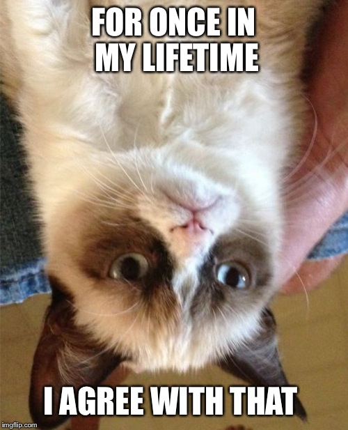 FOR ONCE IN MY LIFETIME I AGREE WITH THAT | image tagged in memes,grumpy cat | made w/ Imgflip meme maker