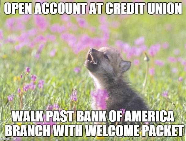 Baby Insanity Wolf Meme | OPEN ACCOUNT AT CREDIT UNION WALK PAST BANK OF AMERICA BRANCH WITH WELCOME PACKET | image tagged in memes,baby insanity wolf | made w/ Imgflip meme maker