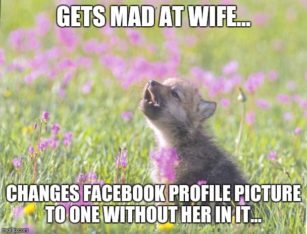 Baby Insanity Wolf Meme | GETS MAD AT WIFE... CHANGES FACEBOOK PROFILE PICTURE TO ONE WITHOUT HER IN IT... | image tagged in memes,baby insanity wolf,AdviceAnimals | made w/ Imgflip meme maker