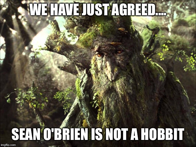 Sean O'Brien treebeard  | WE HAVE JUST AGREED.... SEAN O'BRIEN IS NOT A HOBBIT | image tagged in sean | made w/ Imgflip meme maker