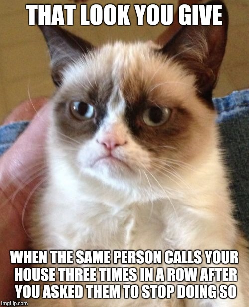 Grumpy Cat | THAT LOOK YOU GIVE WHEN THE SAME PERSON CALLS YOUR HOUSE THREE TIMES IN A ROW AFTER YOU ASKED THEM TO STOP DOING SO | image tagged in memes,grumpy cat | made w/ Imgflip meme maker