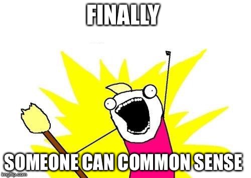 X All The Y | FINALLY SOMEONE CAN COMMON SENSE | image tagged in memes,x all the y | made w/ Imgflip meme maker