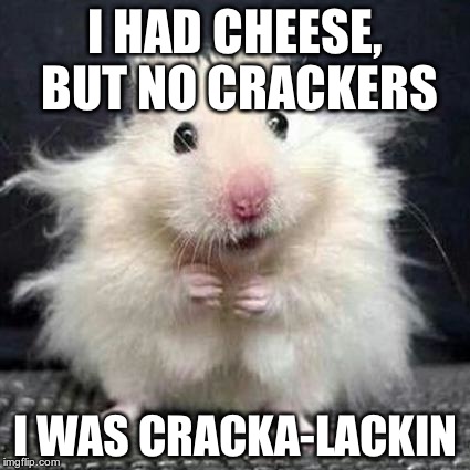 Stressed Mouse | I HAD CHEESE, BUT NO CRACKERS I WAS CRACKA-LACKIN | image tagged in stressed mouse | made w/ Imgflip meme maker