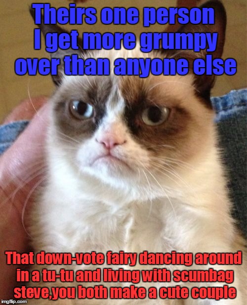 Grumpy Cat | Theirs one person I get more grumpy over than anyone else That down-vote fairy dancing around in a tu-tu and living with scumbag steve,you b | image tagged in memes,grumpy cat | made w/ Imgflip meme maker