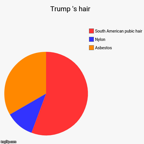 Most important fact about Donald Trump | image tagged in funny,pie charts,trump | made w/ Imgflip chart maker