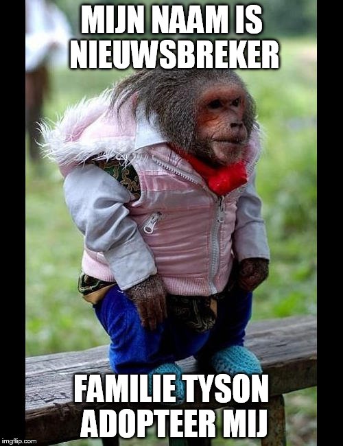 MIJN NAAM IS NIEUWSBREKER FAMILIE TYSON ADOPTEER MIJ | image tagged in adopt me | made w/ Imgflip meme maker