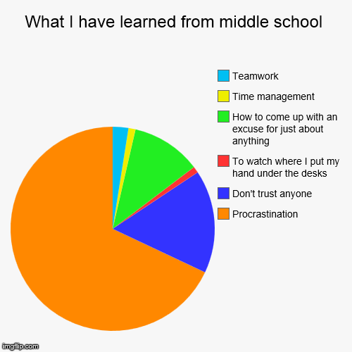 What I have learned from middle school Procrastination Don't trust anyone To watch where I put my hand under the desks How to come up with a | image tagged in funny,pie charts | made w/ Imgflip chart maker