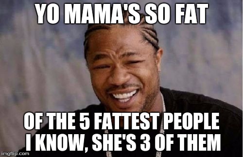 Yo Dawg Heard You Meme | YO MAMA'S SO FAT OF THE 5 FATTEST PEOPLE I KNOW, SHE'S 3 OF THEM | image tagged in memes,yo dawg heard you | made w/ Imgflip meme maker