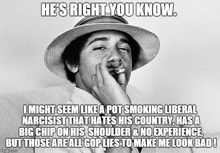 HE'S RIGHT YOU KNOW. I MIGHT SEEM LIKE A POT SMOKING LIBERAL NARCISIST THAT HATES HIS COUNTRY, HAS A BIG CHIP ON HIS  SHOULDER & NO EXPERIEN | made w/ Imgflip meme maker