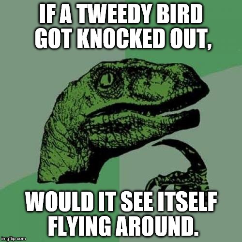 Philosoraptor | IF A TWEEDY BIRD GOT KNOCKED OUT, WOULD IT SEE ITSELF FLYING AROUND. | image tagged in memes,philosoraptor | made w/ Imgflip meme maker