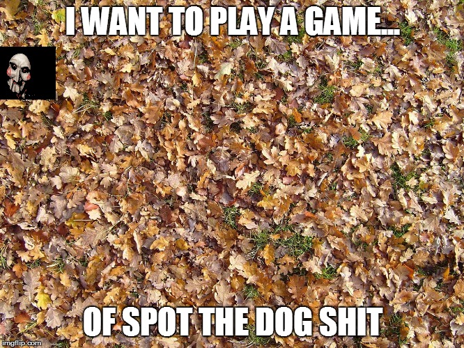 Leaves | I WANT TO PLAY A GAME... OF SPOT THE DOG SHIT | image tagged in leaves | made w/ Imgflip meme maker