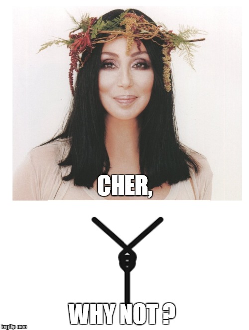 CHER, WHY NOT ? | image tagged in why not | made w/ Imgflip meme maker