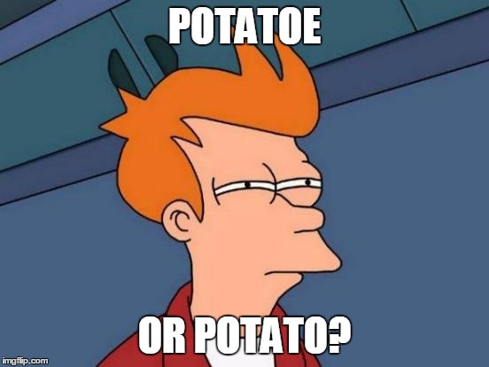 Futurama Fry Meme | POTATOE OR POTATO? | image tagged in memes,futurama fry | made w/ Imgflip meme maker