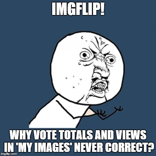 Y U No Meme | IMGFLIP! WHY VOTE TOTALS AND VIEWS IN 'MY IMAGES' NEVER CORRECT? | image tagged in memes,y u no | made w/ Imgflip meme maker