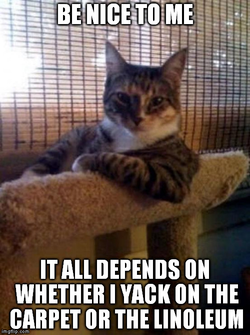 The Most Interesting Cat In The World Meme | BE NICE TO ME IT ALL DEPENDS ON WHETHER I YACK ON THE CARPET OR THE LINOLEUM | image tagged in memes,the most interesting cat in the world | made w/ Imgflip meme maker