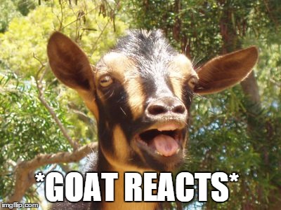 What Goat Curse? | *GOAT REACTS* | image tagged in goatmouth,goat curse,goat reacts | made w/ Imgflip meme maker