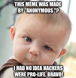 Skeptical Baby Meme | THIS MEME WAS MADE BY "ANONYMOUS "? I HAD NO IDEA HACKERS WERE PRO-LIFE. BRAVO! | image tagged in memes,skeptical baby | made w/ Imgflip meme maker
