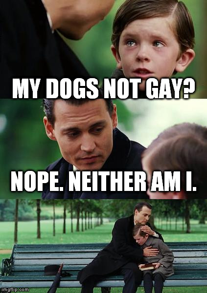 Finding Neverland | MY DOGS NOT GAY? NOPE. NEITHER AM I. | image tagged in memes,finding neverland | made w/ Imgflip meme maker