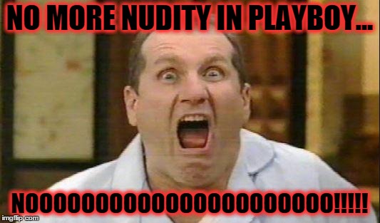 Al Bundy | NO MORE NUDITY IN PLAYBOY... NOOOOOOOOOOOOOOOOOOOOOO!!!!! | image tagged in al bundy | made w/ Imgflip meme maker