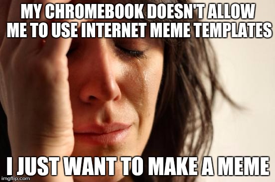 First World Problems | MY CHROMEBOOK DOESN'T ALLOW ME TO USE INTERNET MEME TEMPLATES I JUST WANT TO MAKE A MEME | image tagged in memes,first world problems | made w/ Imgflip meme maker