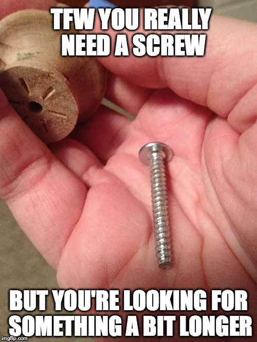 Need a Screw | TFW YOU REALLY NEED A SCREW BUT YOU'RE LOOKING FOR SOMETHING A BIT LONGER | image tagged in screw | made w/ Imgflip meme maker