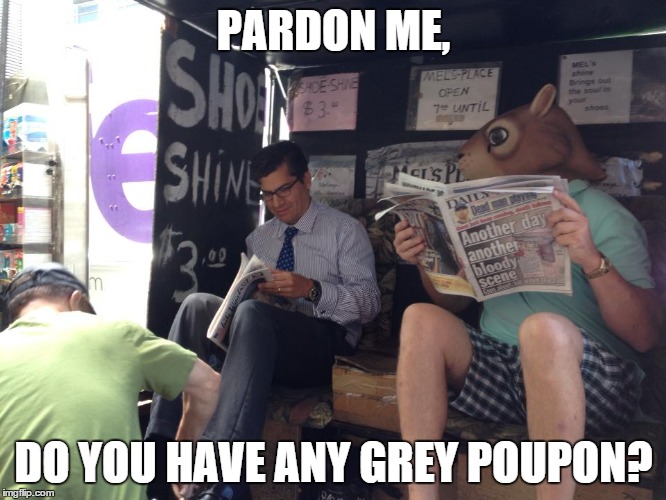 Squirrelly | PARDON ME, DO YOU HAVE ANY GREY POUPON? | image tagged in dafuq did i just read | made w/ Imgflip meme maker