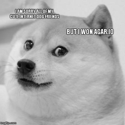 Doge Meme | I AM SORRY ALL OF MY CUTE INTERNET DOG FRIENDS BUT I WON AGAR.IO | image tagged in memes,doge | made w/ Imgflip meme maker