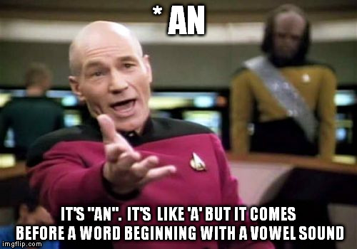 Picard Wtf | * AN IT'S "AN". 
IT'S  LIKE 'A' BUT IT COMES BEFORE A WORD BEGINNING WITH A VOWEL SOUND | image tagged in memes,picard wtf | made w/ Imgflip meme maker