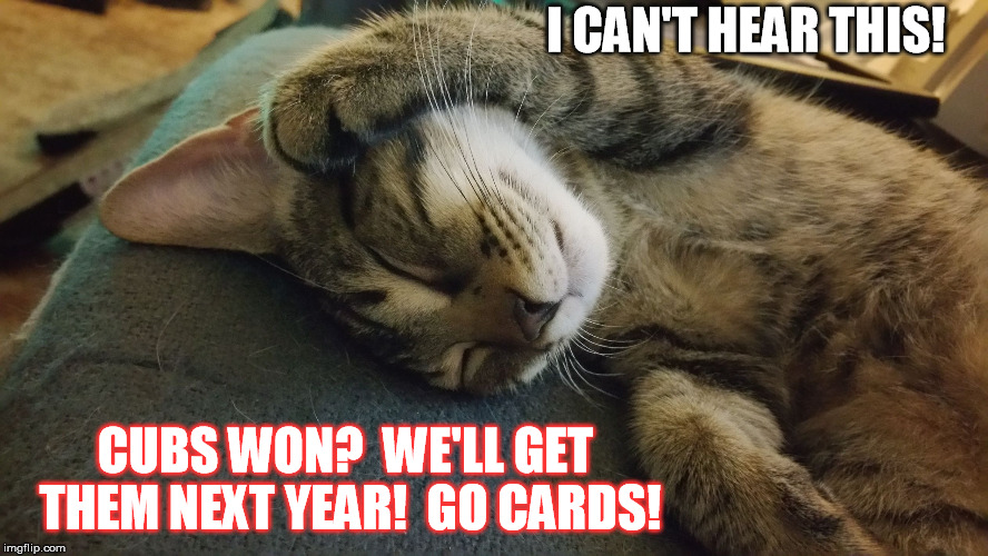 I CAN'T HEAR THIS! CUBS WON?  WE'LL GET THEM NEXT YEAR!  GO CARDS! | image tagged in i can't hear this,kittens,can't hear this kitten | made w/ Imgflip meme maker