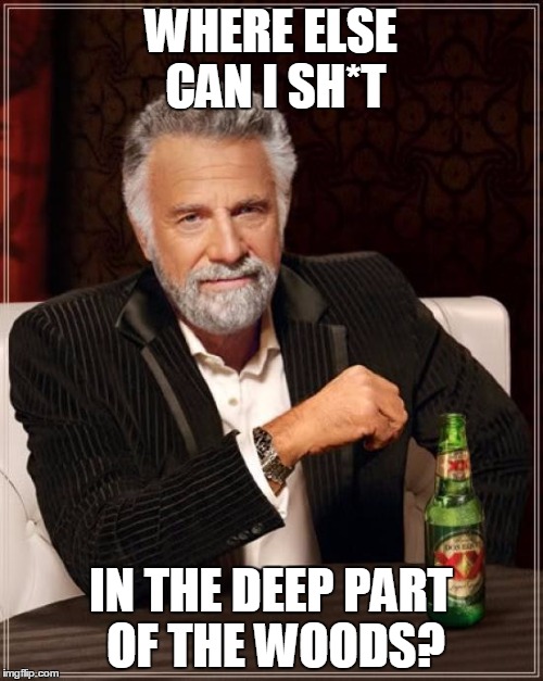 The Most Interesting Man In The World Meme | WHERE ELSE CAN I SH*T IN THE DEEP PART OF THE WOODS? | image tagged in memes,the most interesting man in the world | made w/ Imgflip meme maker