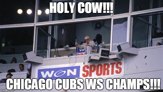 HOLY COW!!! CHICAGO CUBS WS CHAMPS!!! | image tagged in baseball,world series,chicago cubs | made w/ Imgflip meme maker