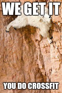 goat rock climbing | WE GET IT YOU DO CROSSFIT | image tagged in goat rock climbing | made w/ Imgflip meme maker