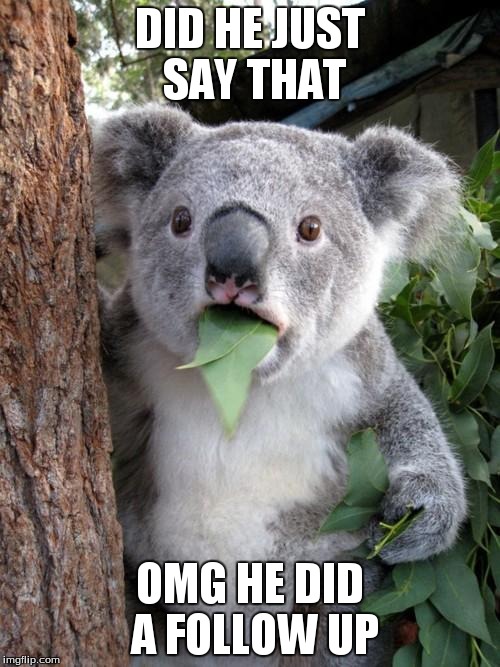 Surprised Koala | DID HE JUST SAY THAT OMG HE DID A FOLLOW UP | image tagged in memes,surprised koala,AdviceAnimals | made w/ Imgflip meme maker