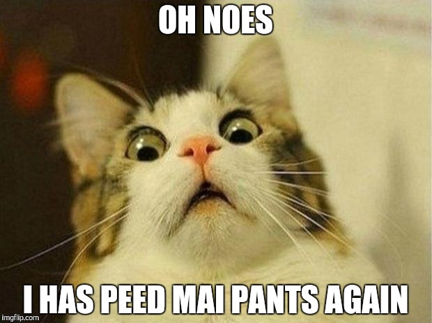 Scared Cat Meme | OH NOES I HAS PEED MAI PANTS AGAIN | image tagged in memes,scared cat | made w/ Imgflip meme maker