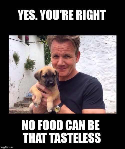 YES. YOU'RE RIGHT NO FOOD CAN BE THAT TASTELESS | image tagged in gordon ramsay opens london house hong kong | made w/ Imgflip meme maker