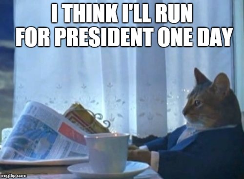 I Should Buy A Boat Cat | I THINK I'LL RUN FOR PRESIDENT ONE DAY | image tagged in memes,i should buy a boat cat | made w/ Imgflip meme maker