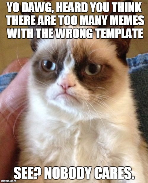 Grumpy Cat Meme | YO DAWG, HEARD YOU THINK THERE ARE TOO MANY MEMES WITH THE WRONG TEMPLATE SEE? NOBODY CARES. | image tagged in memes,grumpy cat | made w/ Imgflip meme maker