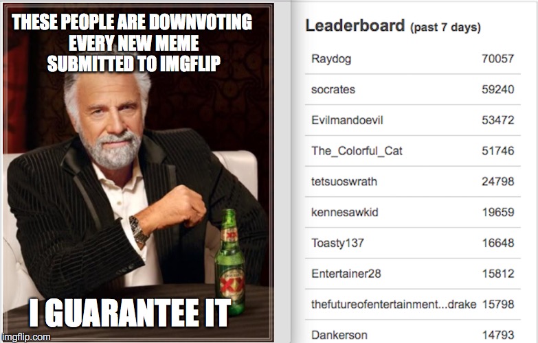 Get Rid of the Dislike Button | THESE PEOPLE ARE DOWNVOTING EVERY NEW MEME SUBMITTED TO IMGFLIP I GUARANTEE IT | image tagged in the most interesting man in the world | made w/ Imgflip meme maker