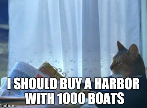 we neds moar monee: port 2 | I SHOULD BUY A HARBOR WITH 1000 BOATS | image tagged in memes,i should buy a boat cat | made w/ Imgflip meme maker