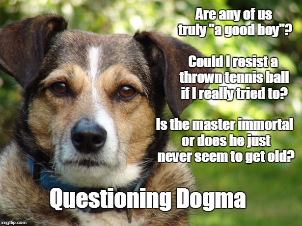Questioning Dogma | Are any of us truly "a good boy"? Is the master immortal or does he just never seem to get old? Could I resist a thrown tennis ball if I rea | image tagged in dog,thinking,religion | made w/ Imgflip meme maker