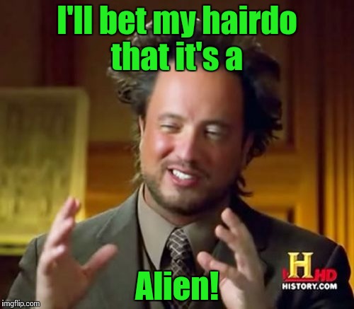 Ancient Aliens Meme | I'll bet my hairdo that it's a Alien! | image tagged in memes,ancient aliens | made w/ Imgflip meme maker