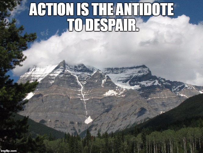 Action is the antidote (Joan Baez) | ACTION IS THE ANTIDOTE TO DESPAIR. | image tagged in mount robson,joan baez,action,mountain,despair | made w/ Imgflip meme maker