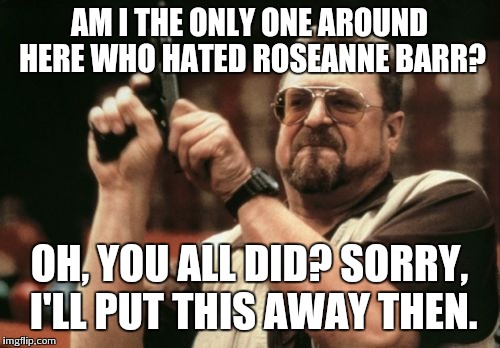 Am I The Only One Around Here | AM I THE ONLY ONE AROUND HERE WHO HATED ROSEANNE BARR? OH, YOU ALL DID? SORRY, I'LL PUT THIS AWAY THEN. | image tagged in memes,am i the only one around here | made w/ Imgflip meme maker